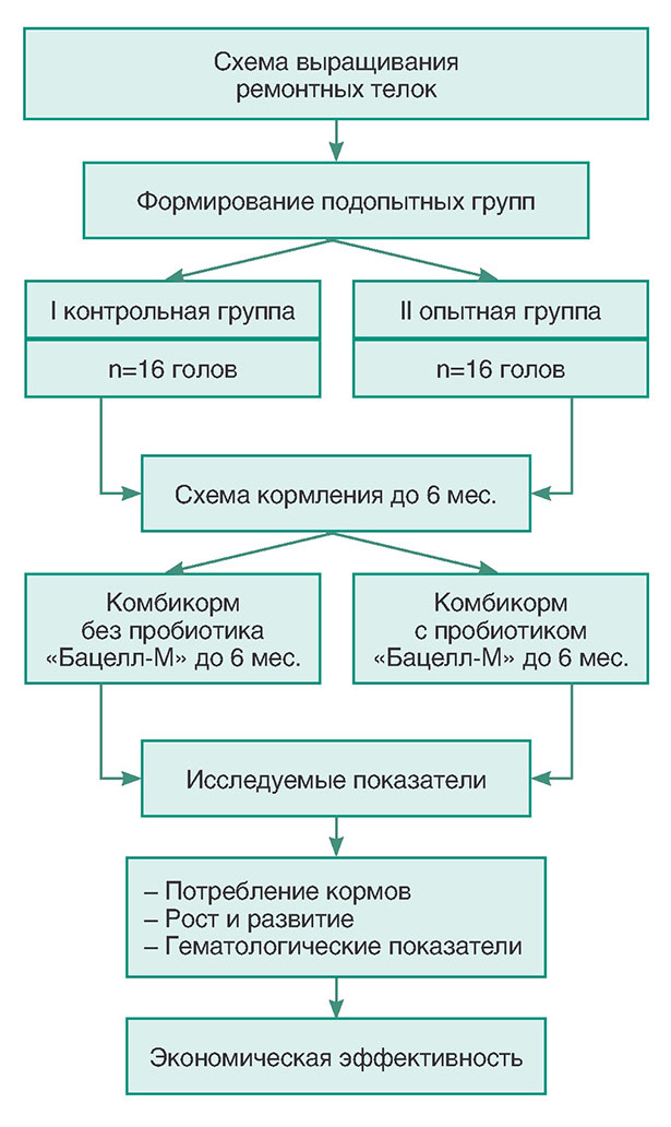 Рисунок 1 – Общая схема исследования