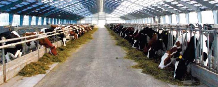 bacell mon prolam 01 2
