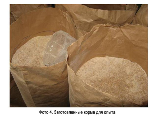 Заготовлене корма для опыта Заготовлене корма для опыта