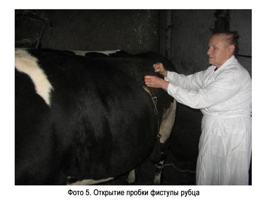 Открытие пробки фиcтулы рубца Открытие пробки фиcтулы рубца