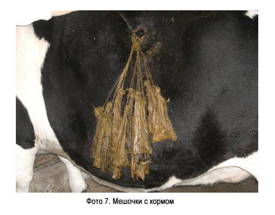 Мешочки с кормом Мешочки с кормом