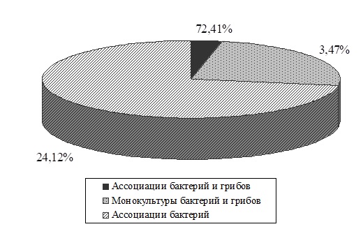 Промежуточный отчет по теме: «Разработка способов, схем лечения и профилактики заболеваний органов размножения маточного поголовья крупного рогатого скота и свиней с использованием пробиотических препаратов Моноспорин, Пролам, Бацелл» Промежуточный отчет по теме: «Разработка способов, схем лечения и профилактики заболеваний органов размножения маточного поголовья крупного рогатого скота и свиней с использованием пробиотических препаратов Моноспорин, Пролам, Бацелл»