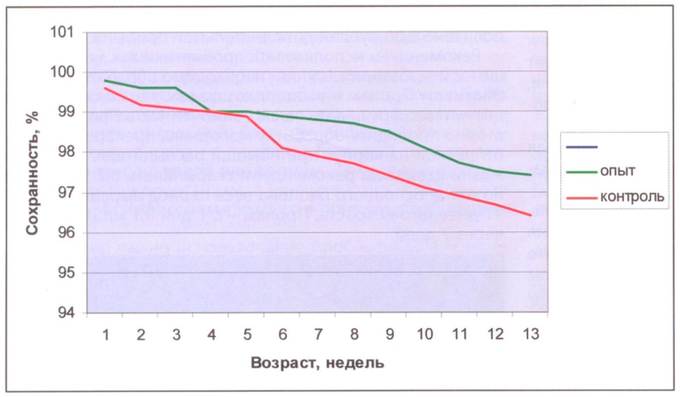 Рисунок 3 - Сохранность ремонтных курочек, % Рисунок 3 - Сохранность ремонтных курочек, %
