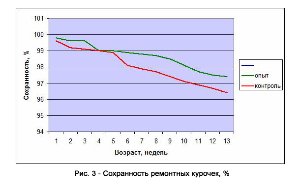Рисунок 3 — Сохранность ремонтных курочек, %