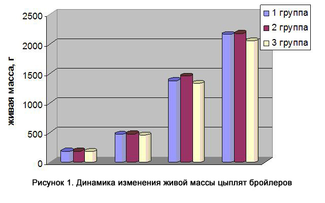 Рисунок 1. Динамика изменения живой массы цыплят-бройлеров
