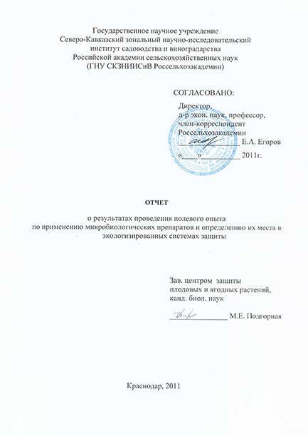Титульный лист отчета Титульный лист отчета