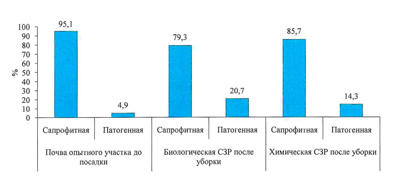 Соотношение эколого-трофических rpyпп микроскопических грибов, %