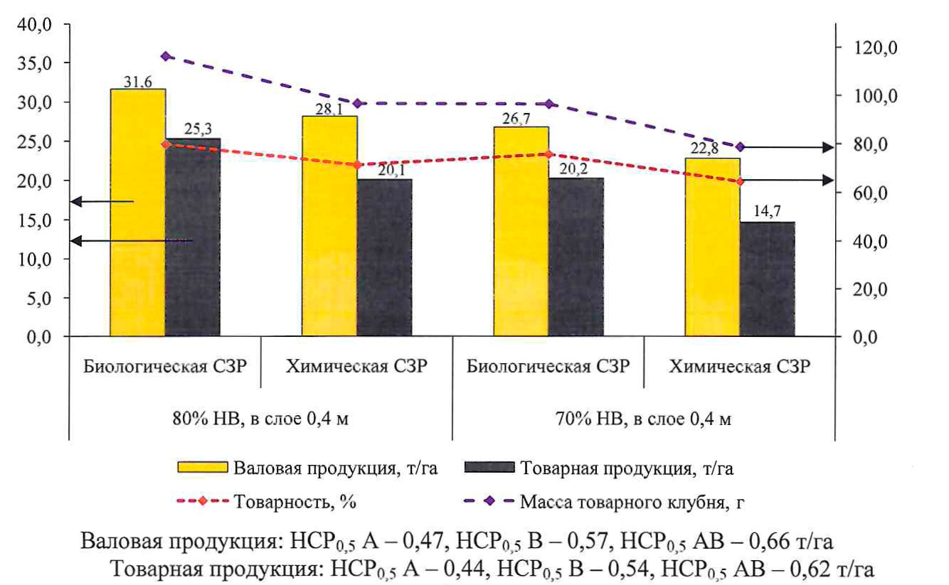 Продуктивность картофеля в зависимости от изучаемых вариантов опыта