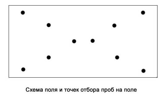 схема поля схема поля