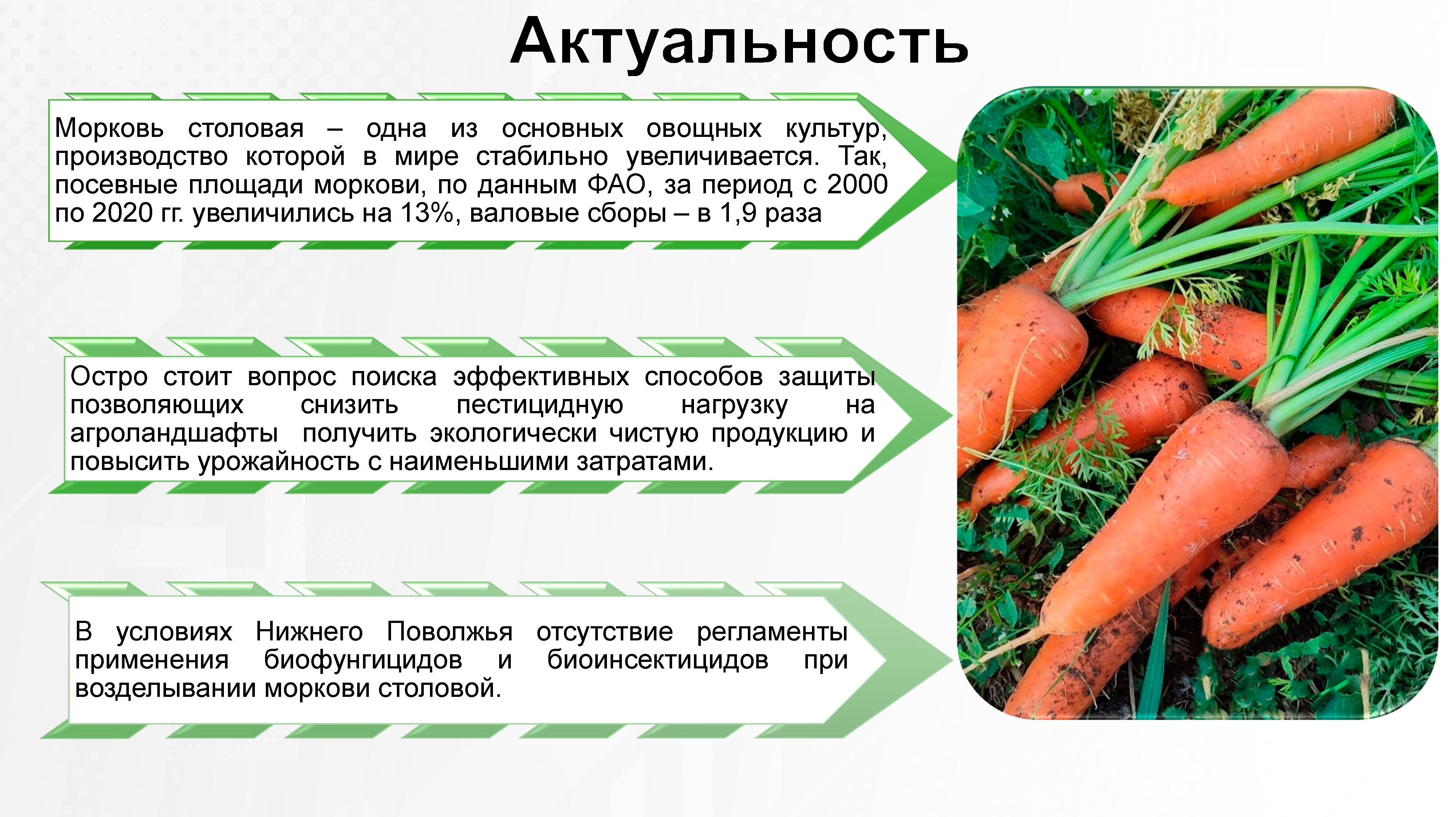 Остро стоит вопрос поиска эффективных способов защиты позволяющих снизить пестицидную нагрузку на агроландшафты получить экологически чистую продукцию и повысить урожайность с наименьшими затратами