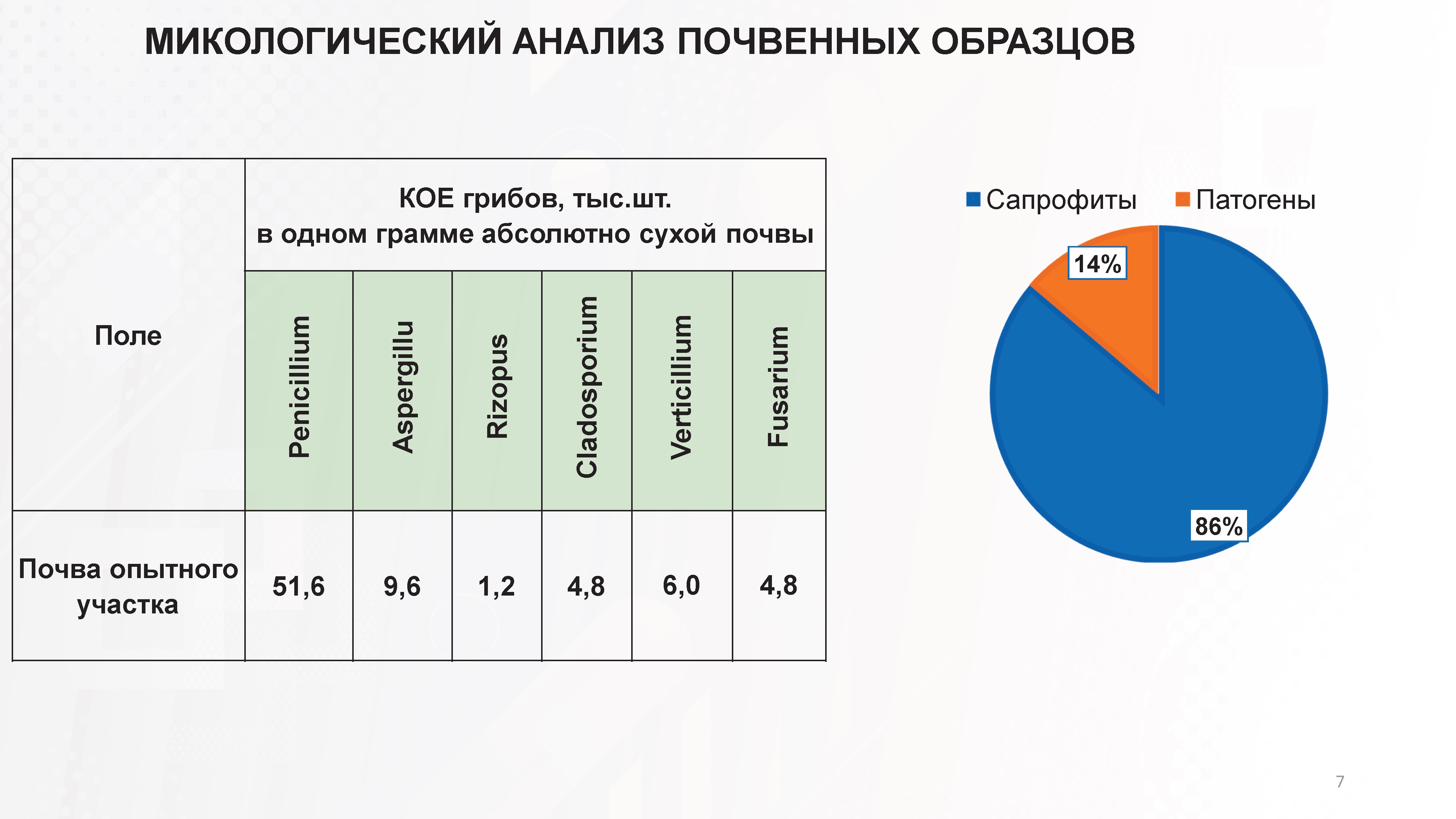 МИКОЛОГИЧЕСКИЙ АНАЛИЗ ПОЧВЕННЫХ ОБРАЗЦОВ