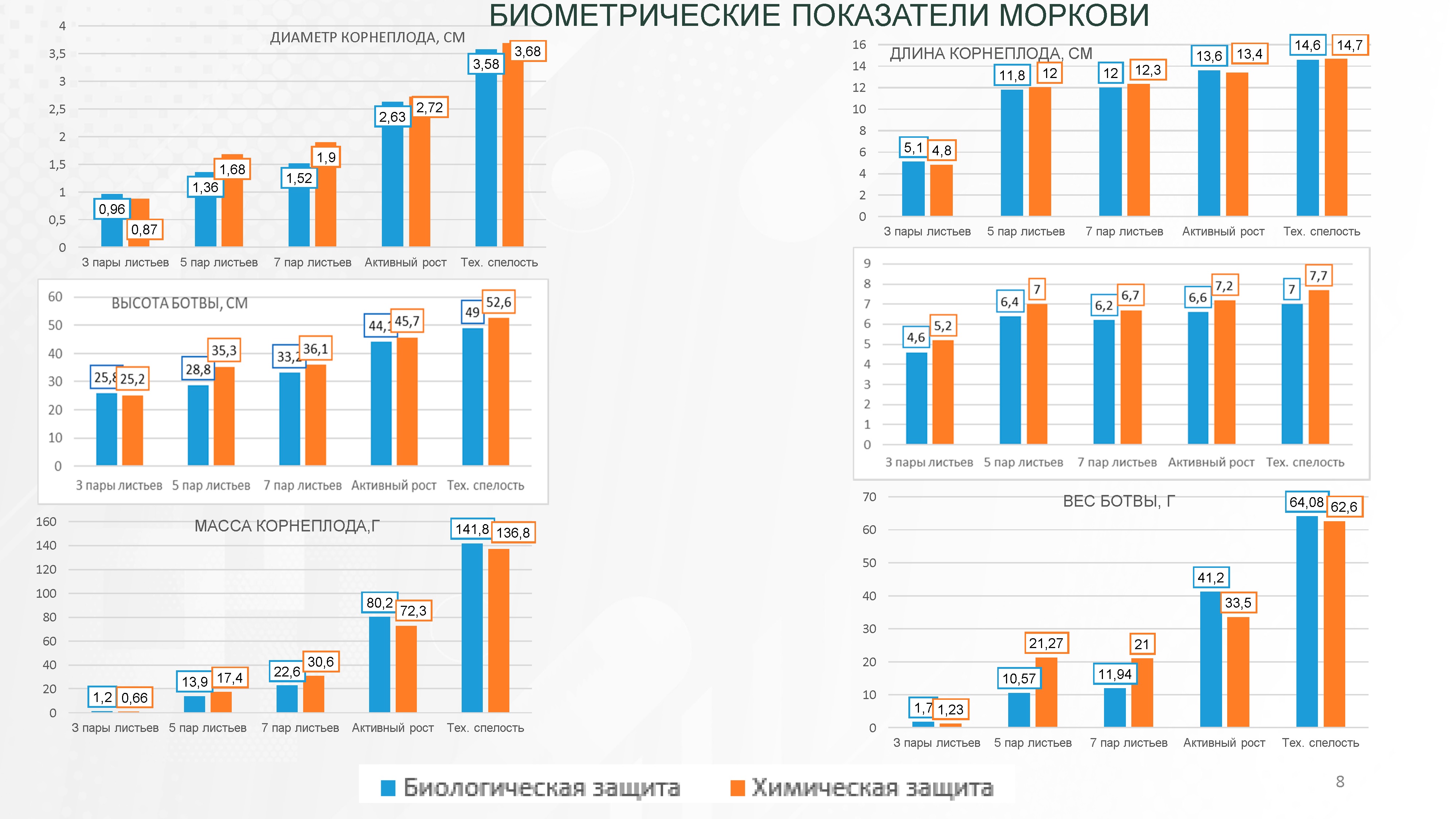 БИОМЕТРИЧЕСКИЕ ПОКАЗАТЕЛИ МОРКОВИ