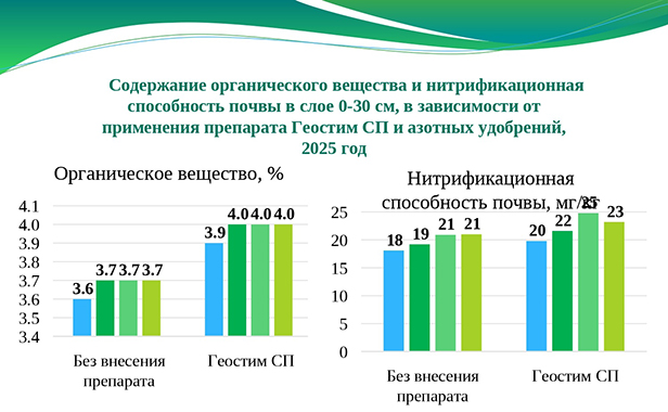Содержание органического вещества и нитрификационная способность почвы в слое 0-30 см в зависимости от применения микробиологического удобрения Геостим СП и азотных удобрений в 2025 году