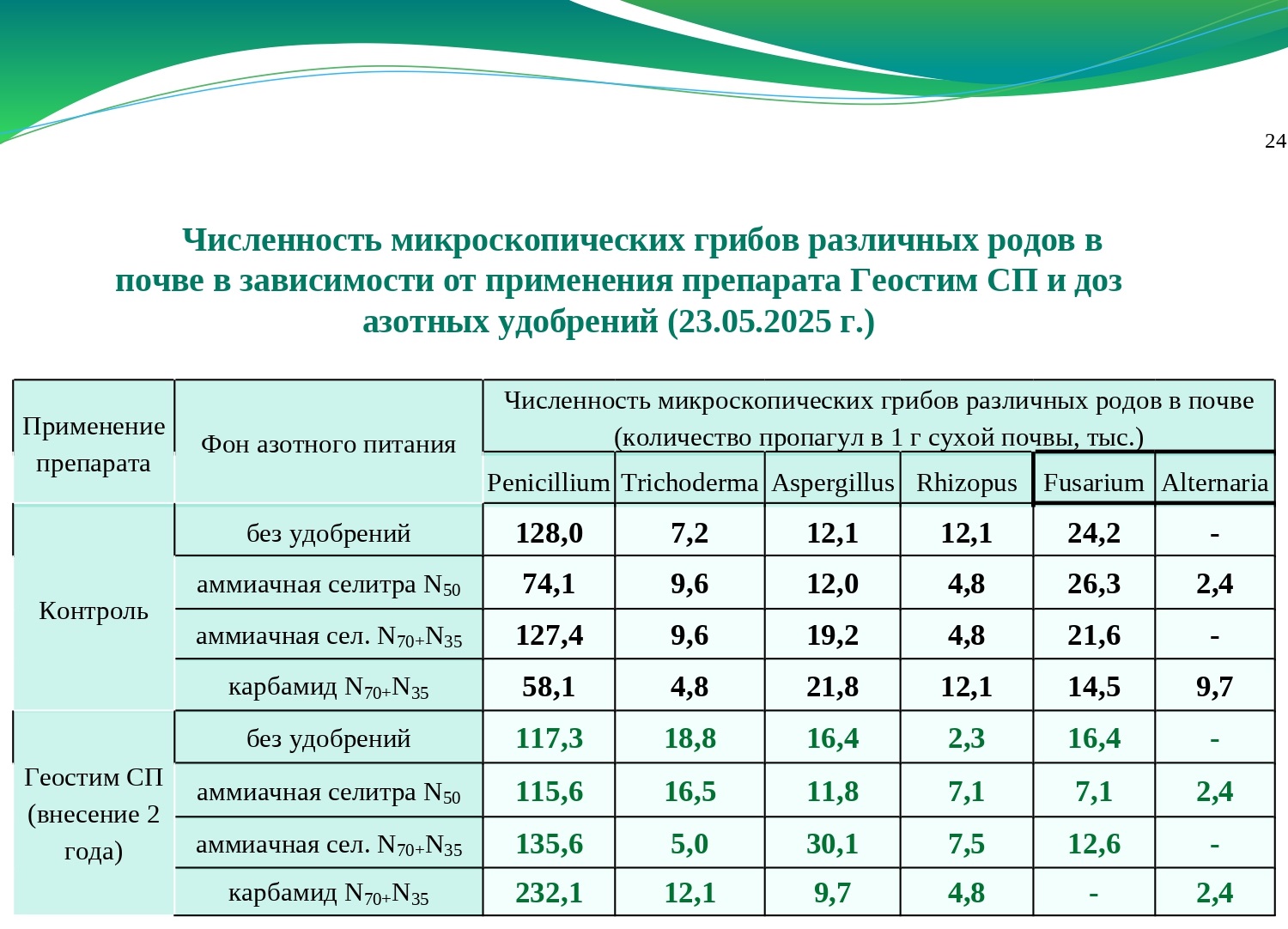 Численность микроскопических грибов различных родов в почве в зависимости от применения препарата Геостим СП и доз азотных удобрений (23.05.2025г.)