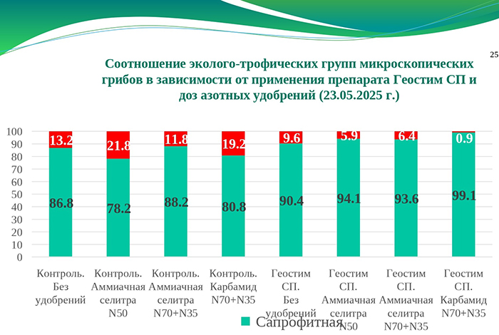 Соотношение эколого-трофических групп микроскопических грибов в зависимости от применения препарата Геостим СП и доз азотных удобрений (23.05.2025г.)