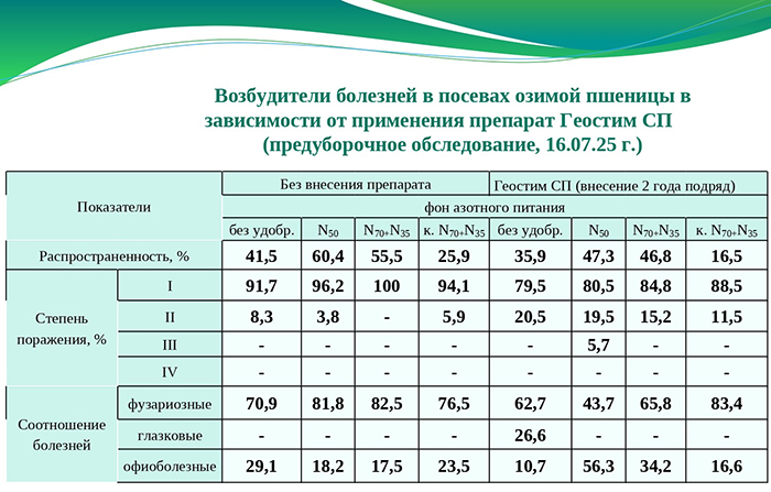 Возбудители болезней в посевах озимой пшеницы в зависимости от применения препарата Геостим СП (предуборочной исследование, 16.07.2025г.)