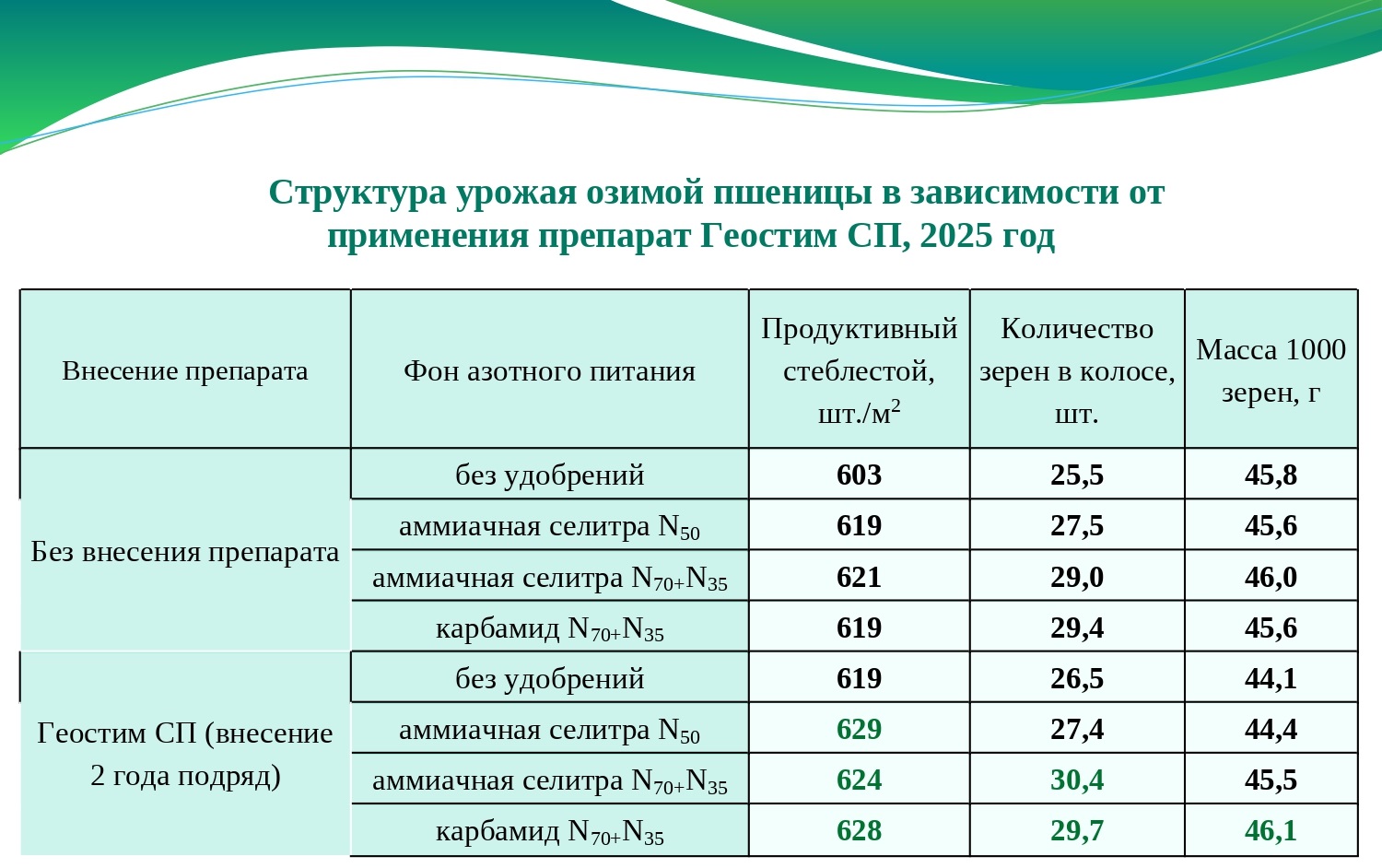 Структура урожая озимой пшеницы в зависимости от применения препарата Геостим СП, 2025 год