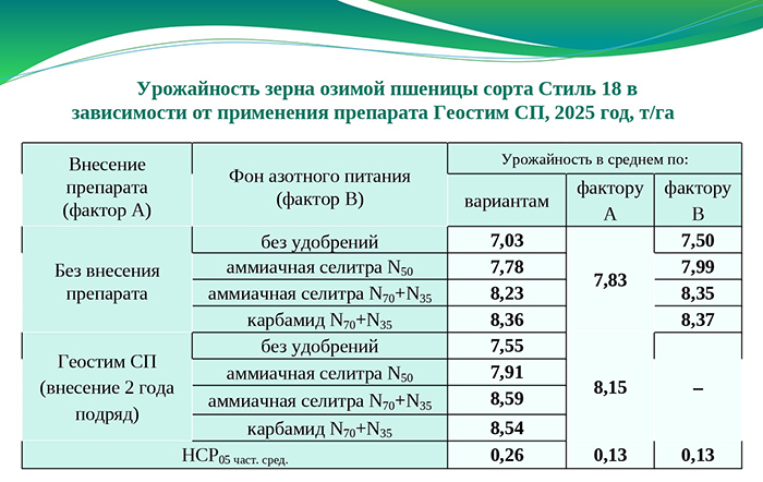 Урожайность озимой пшеницы сорта Стиль 18 в зависимости от применения препарата Геостим СП, 2025г., т/га