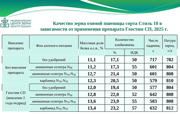 Качество зерна озимой пшеницы сорта Стиль 18 в зависимости от применения препарата Геостим СП, 2025г.