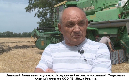 А.А.Гуцманюк, главный агроном ООО ПЗ «Наша Родина»