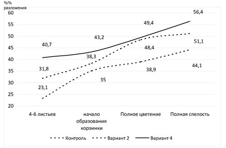 Эффективность применения биофунгицида «БФТИМ» на подсолнечнике