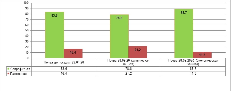 Рисунок 1 - Соотношение эколого-трофических групп микроскопических грибов,% Рисунок 1 - Соотношение эколого-трофических групп микроскопических грибов,%