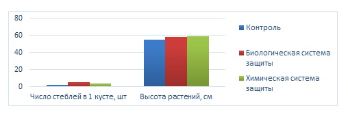 Биометрические показатели картофеля сорта Арроу, Краснодарский край, 2020 г. Биометрические показатели картофеля сорта Арроу, Краснодарский край, 2020 г.