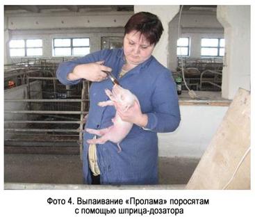 Фото 4 - Выпаивание Пролама с помощью шприца-дозатора