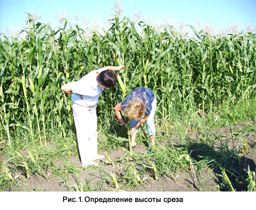 Рисунок 1- Определение высоты среза