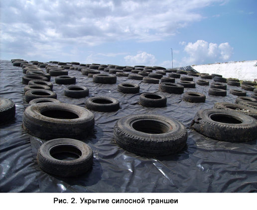 Рисунок 2- Укрытие силосной траншеи